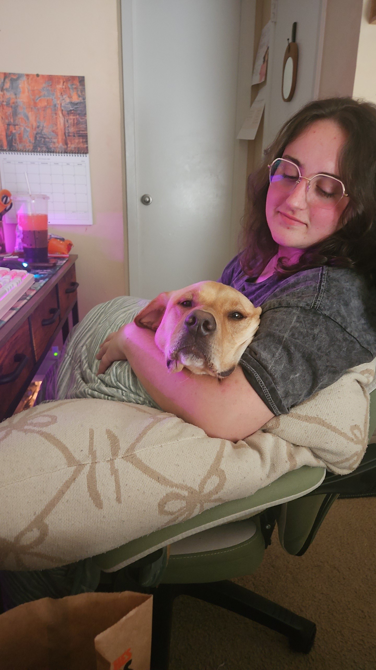Person with glasses and purple shirt holding a small dog on a pillow, smiling in a cozy room.