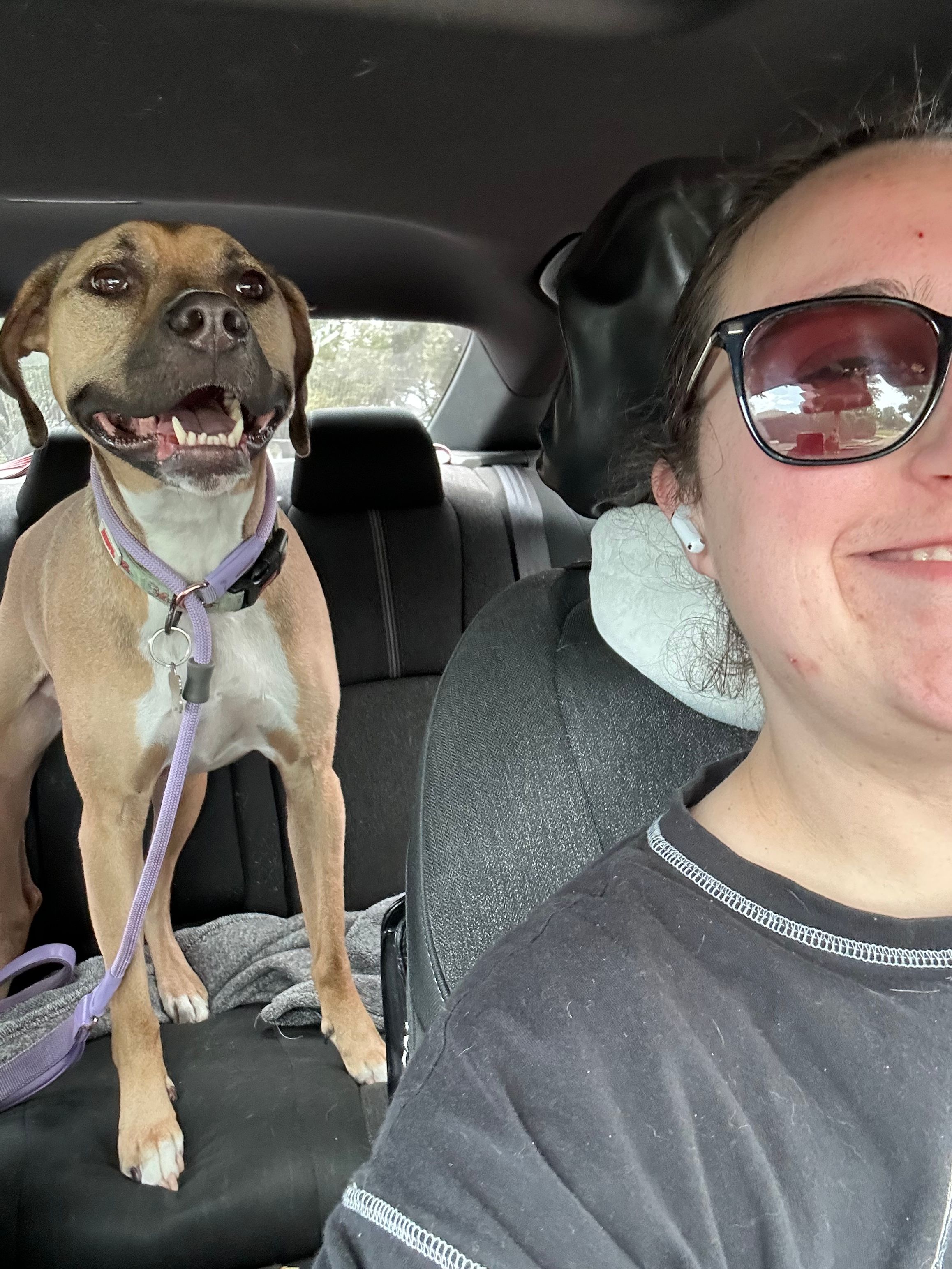 Person with glasses smiling in car, dog sitting on seat, looking at camera, leash attached to collar, car interior visible.