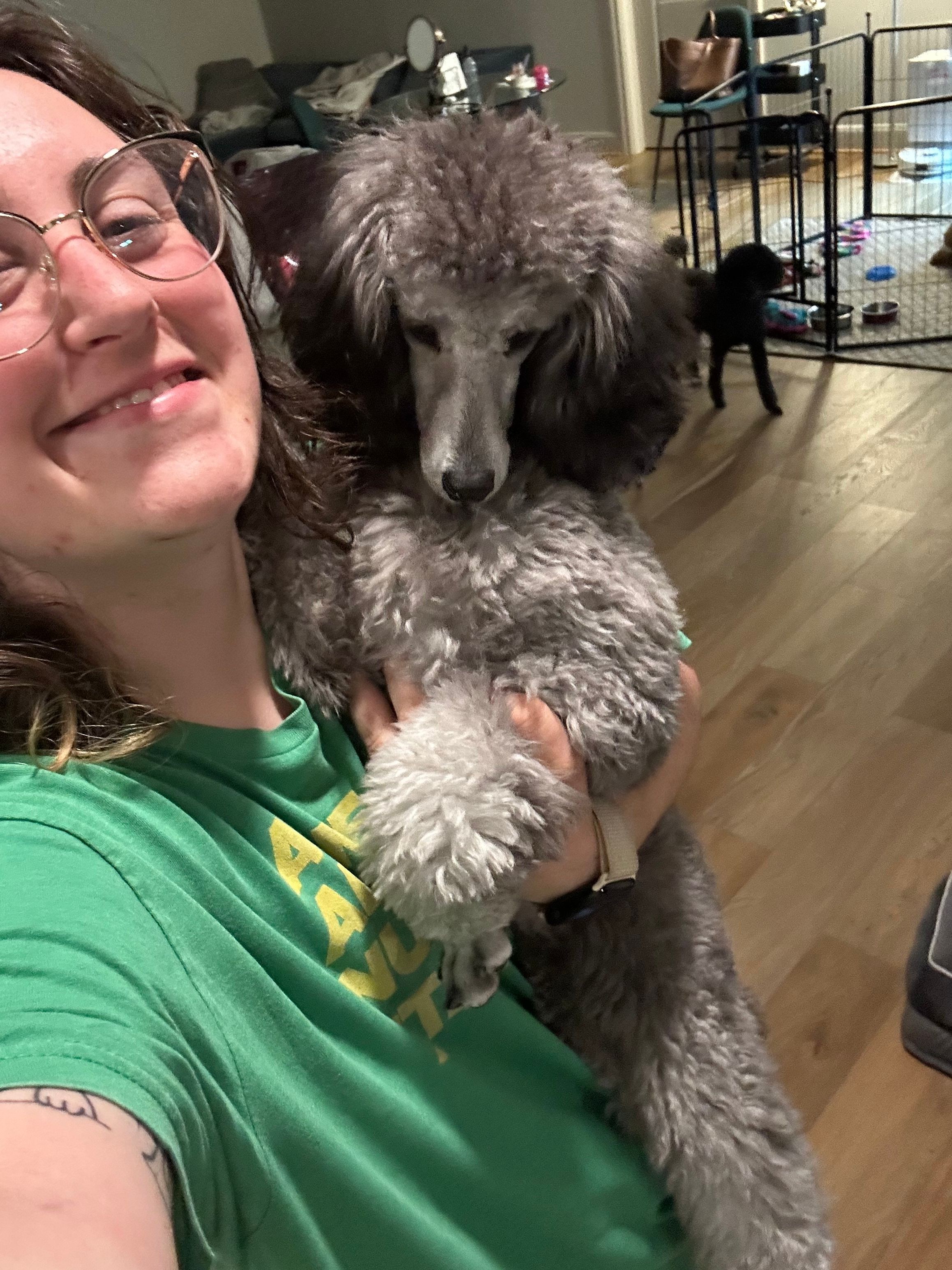 Person with glasses and a green shirt lying down with a large gray poodle dog, both indoors.