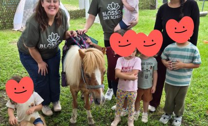 Group of children and two adults with a pony outdoors, some children holding plush toys, in a grassy area with trees.